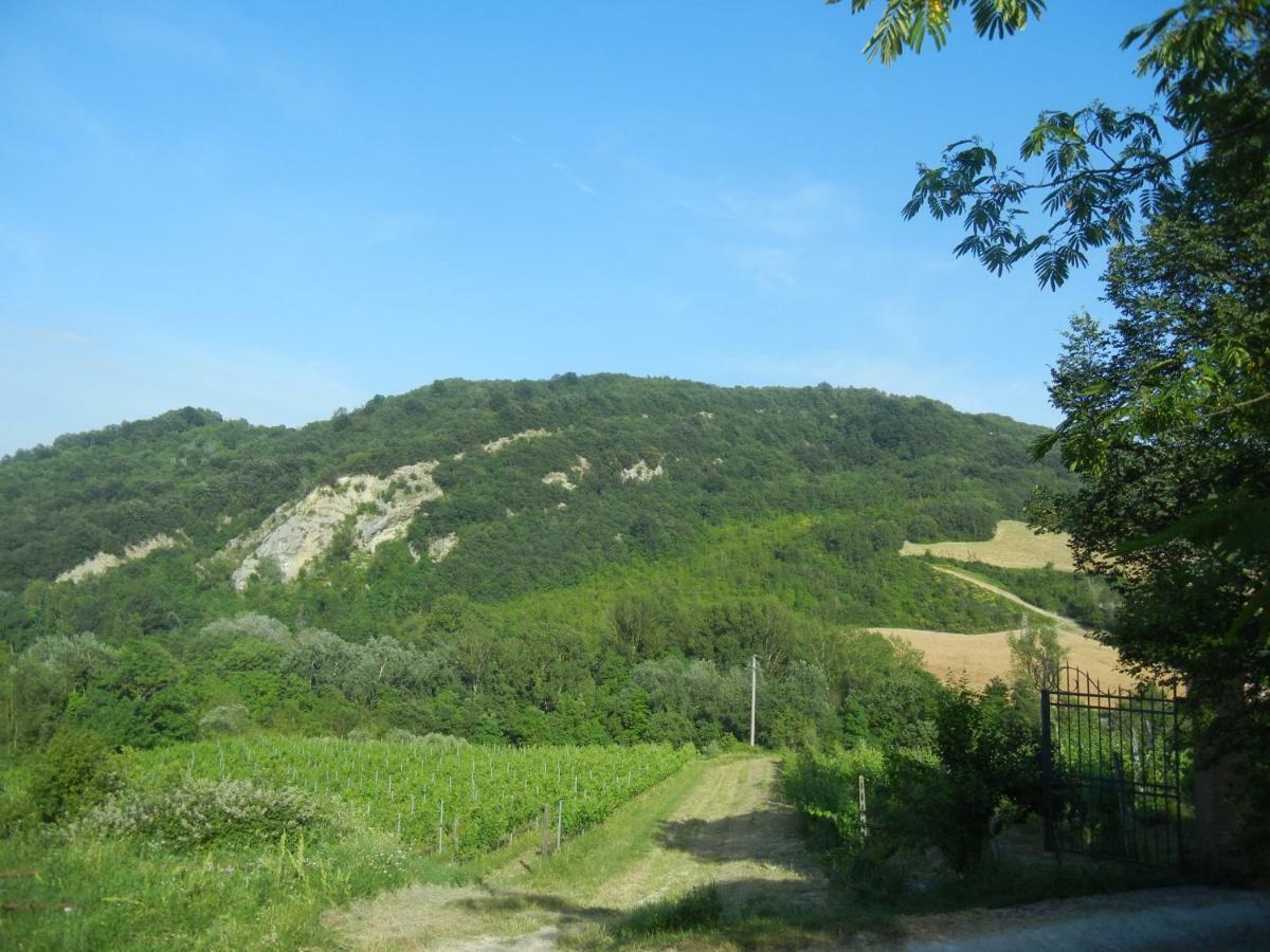La Colombarola Agriturismo Farneto Exterior photo